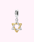 Star of David  gold/ sliver hair clip charm