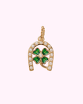 Lucky hair clip charm